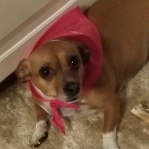 Meet your Posher, Melissa